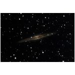 800 LES LEVRES D ANDROMEDE NGC891_1_tcp.jpg